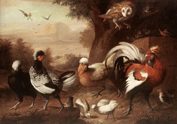 Fowls and Owl, (Baromfiak és bagoly)