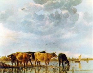 Cows in the Water