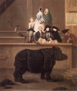 The Rhinoceros 1751