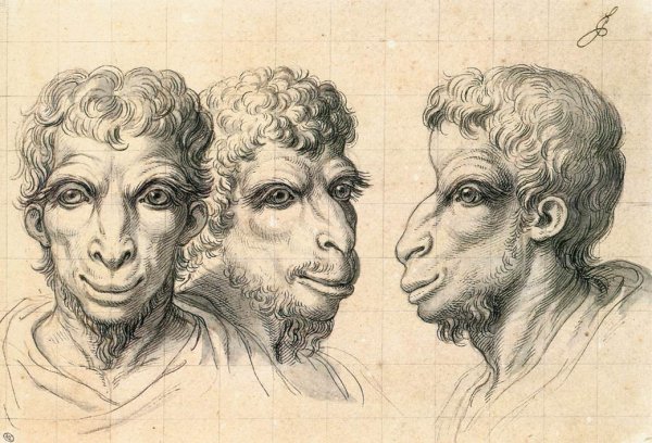 Physiognomic Heads Inspired by a Camel c. 1670