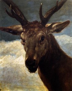 Head of a Stag 1626-27