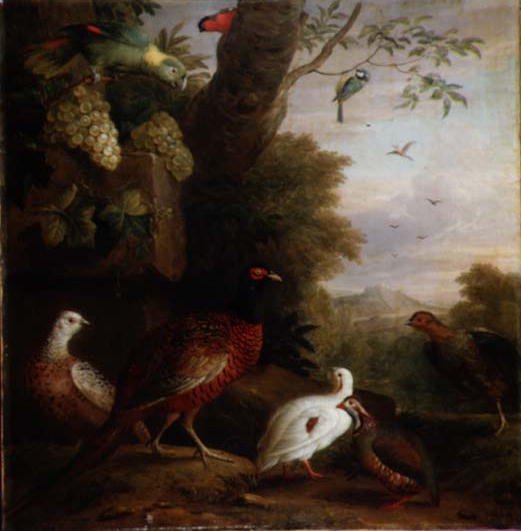 Birds in a Landscape