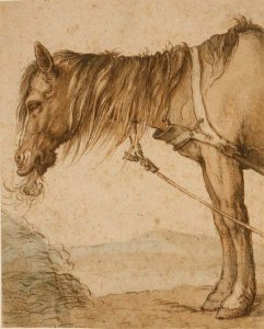 A Horse Eating Hay, c.1600-10