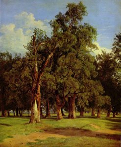 Elm trees in Prater, 1831