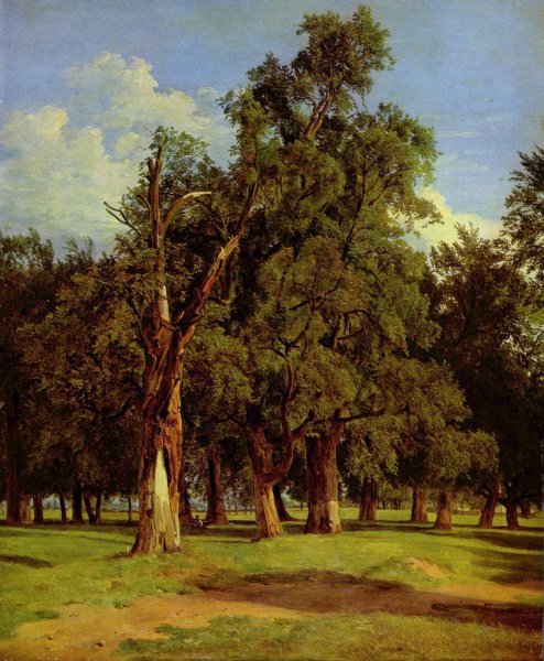 Elm trees in Prater, 1831