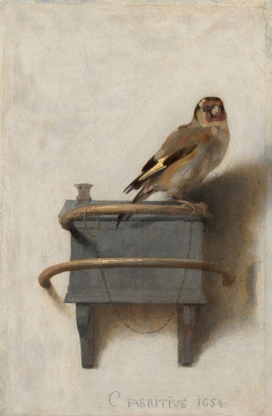 The Goldfinch 1654