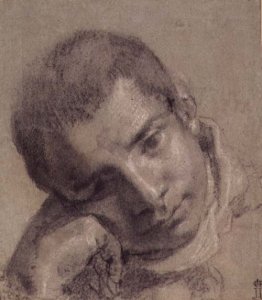 Head of a Youth