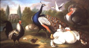 A Peacock, Turkey, Hen, Cockerel and Dove by a River