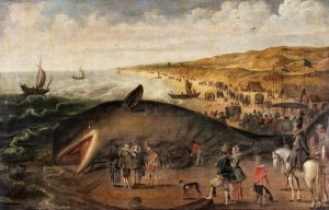 The Whale beached between Scheveningen and Katwijk, January 1617