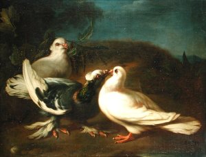 Doves, 1724