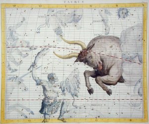 Constellation of Taurus, plate 2 from Atlas Coelestis, by John Flamsteed (1646-1710), published in 1729