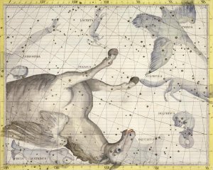 Constellation of Pegasus, plate 25 from Atlas Coelestis, by John Flamsteed 1646-1710, published in 1729