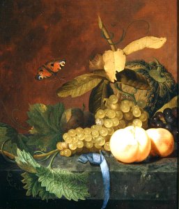 A Still Life