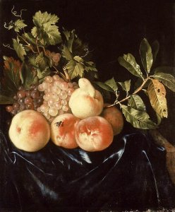 Still-Life of Peaches and Grapes 1705