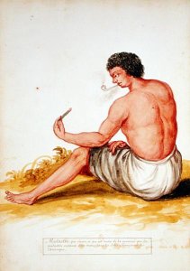 Mulatto sitting and smoking, from a manuscript on plants and civilization in the Antilles, c.1686