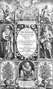 Title page to the second edition of The Herball by John Gerard 1564-1612 1633