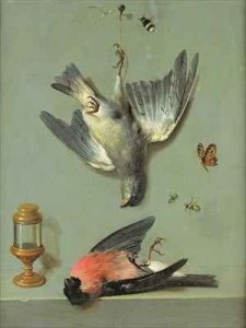 Still Life With Birds and Insects, 1713