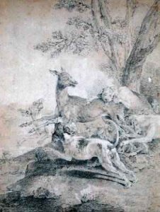 The Doe Hunt