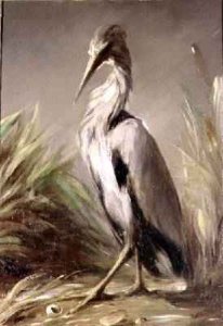 A Heron