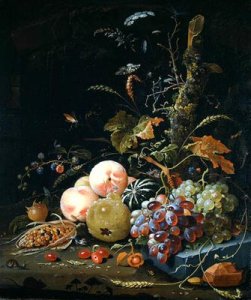 Still life of a forest floor