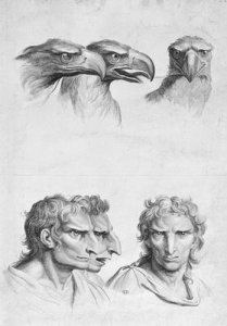 Similarities Between the Head of an Eagle and a Man