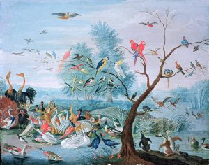 Tropical birds in a landscape