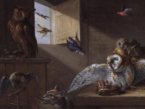 A Family of Owls other Birds and a Cat