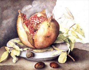 Pomegranate with Chestnuts