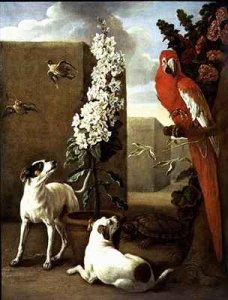 Parrot with Dogs