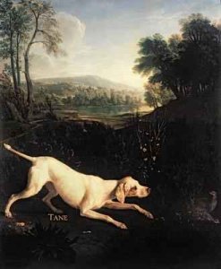 Louis XIVs Dog Tane