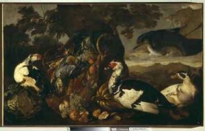 Still life and marsh birds