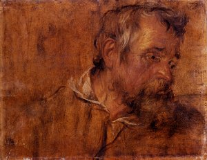 Profile Study Of A Bearded Old Man