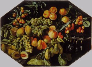 Still-Life of Fruit c. 1640