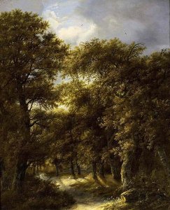 Wooded Landscape