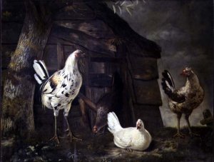 Poultry